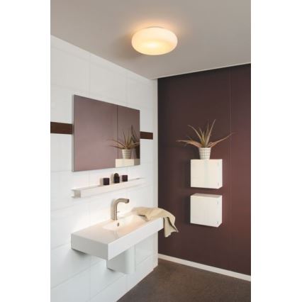 Philips 32067/31/16 - Stropna svjetiljka za kupaonicu MYBATHROOM MIST 2xE27/15W/230V IP44