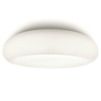 Philips 32067/31/16 - Stropna svjetiljka za kupaonicu MYBATHROOM MIST 2xE27/15W/230V IP44