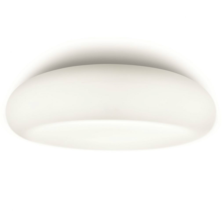 Philips 32067/31/16 - Stropna svjetiljka za kupaonicu MYBATHROOM MIST 2xE27/15W/230V IP44