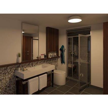 Philips 32200/17/16 - Stropna kupaonska svjetiljka MYBATHROOM OCULUS 1x2GX13/40W IP44