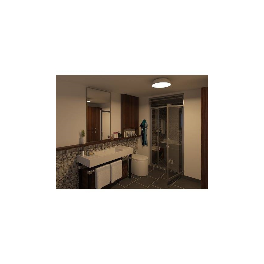 Philips 32200/17/16 - Stropna kupaonska svjetiljka MYBATHROOM OCULUS 1x2GX13/40W IP44