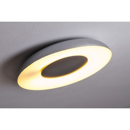Philips 32613/48/16 - Stropna svjetiljka MYLIVING STILL 1x2GX13/40W/230V