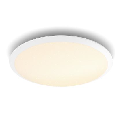 Philips - LED Prigušiva stropna svjetiljka LED/18W/230V