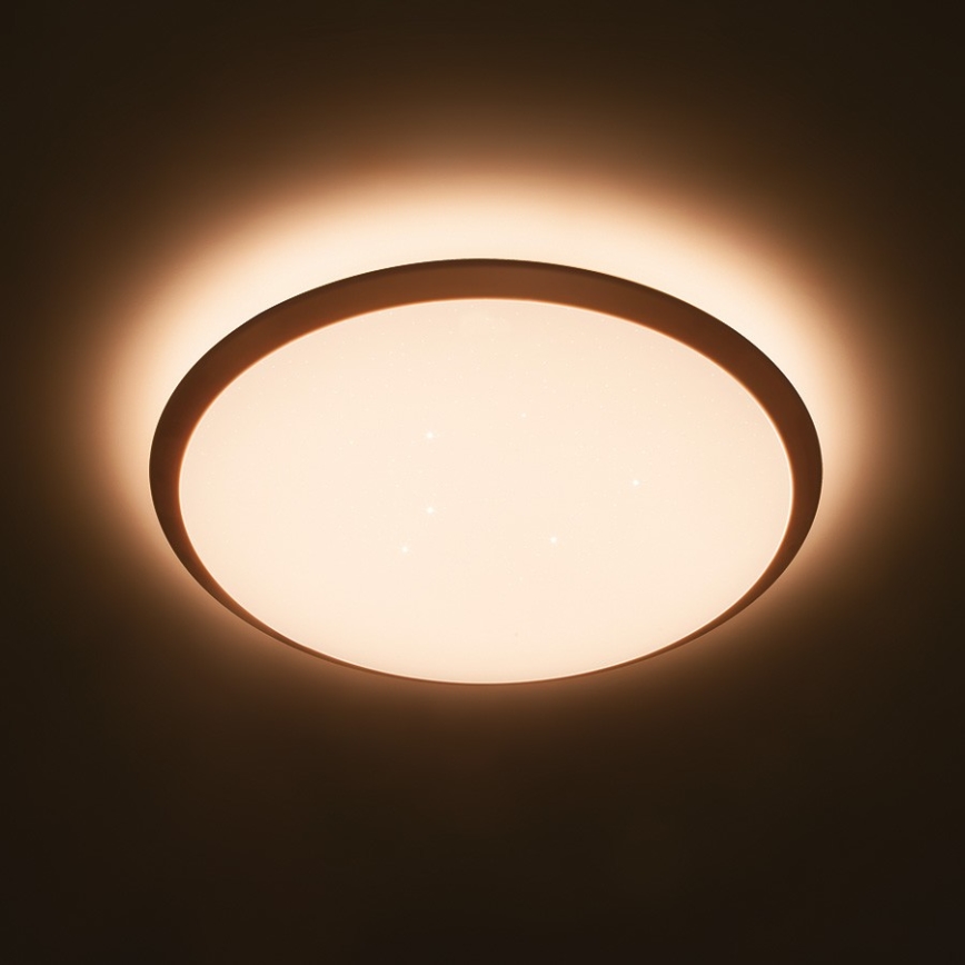 Philips 32809/31/P3 - LED Prigušiva stropna svjetiljka CANAVAL LED/18W/230V