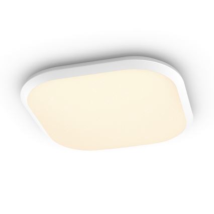 Philips - LED Prigušiva stropna svjetiljka LED/18W/230V