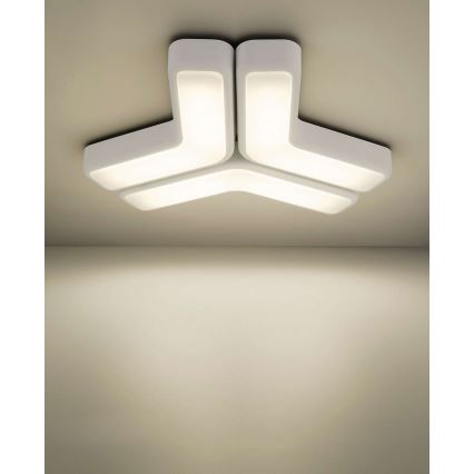 Philips 33100/31/16 - Zidna svjetiljka MYLIVING PLAYFUL 2x2G7/11W bijela