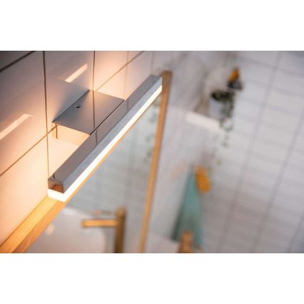 Philips 34341/11/P0 - LED Prigušiva svjetiljka za kupaonicu MYBATHROOM PLUNGE LED/9W/230V IP44