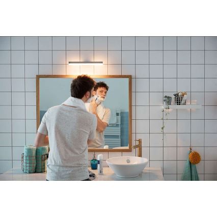 Philips 34341/11/P0 - LED Prigušiva svjetiljka za kupaonicu MYBATHROOM PLUNGE LED/9W/230V IP44