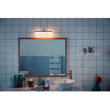 Philips 34341/11/P0 - LED Prigušiva svjetiljka za kupaonicu MYBATHROOM PLUNGE LED/9W/230V IP44