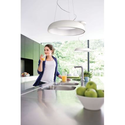 Philips 40233/48/16 - Viseća svjetiljka MYLIVING AMAZE 1x2GX13/60W/230V