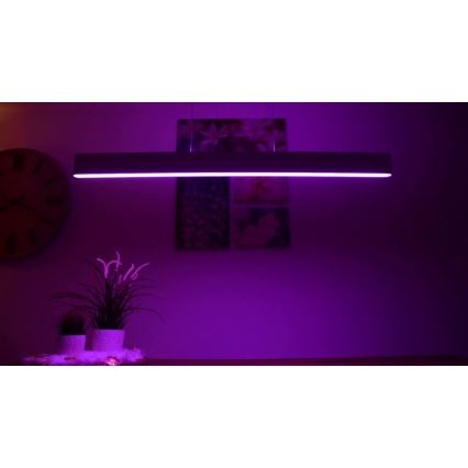 Philips -  LED RGBW Prigušivi luster na sajli Hue ENSIS White And Color Ambiance 2xLED/39W/230V