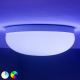 Philips - LED RGBW Prigušiva stropna svjetiljka Hue FLOURISH White And Color Ambiance LED/32W/230V