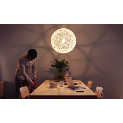 Philips - Stropna viseća svjetiljka E27/60W/230V