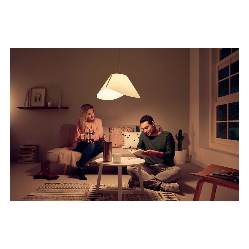 Philips - Viseća stropna svjetiljka E27/60W/230V