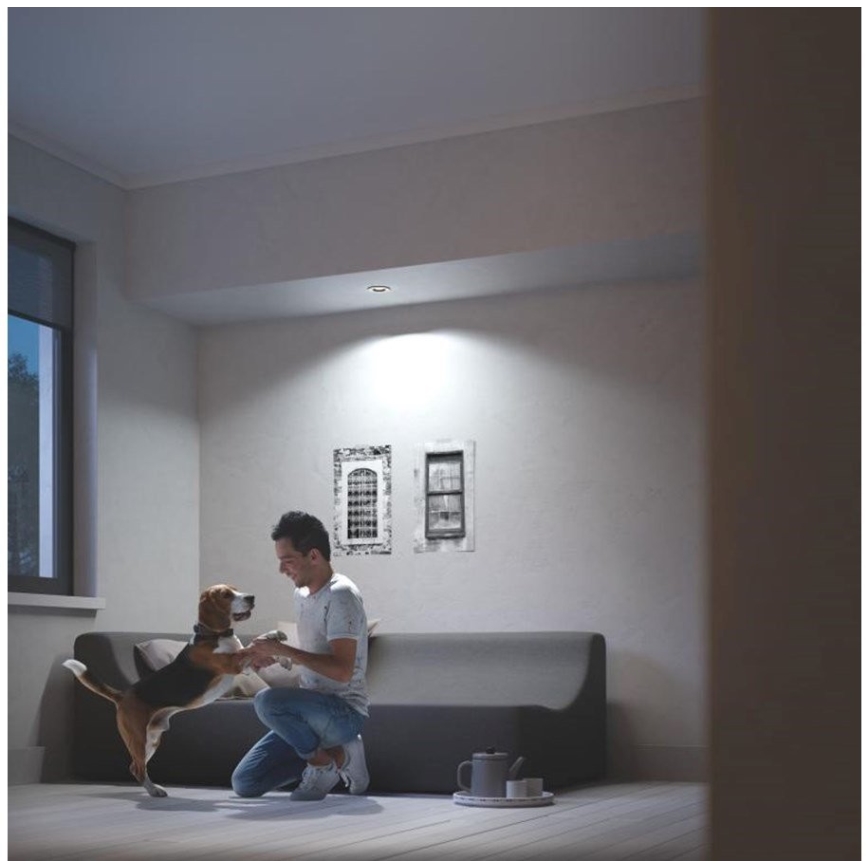 Philips 50411/31/P9 - LED Prigušiva svjetiljka Hue MILLISKIN 1xGU10/5W/230V