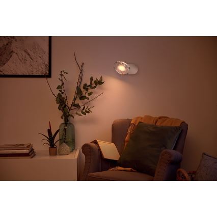 Philips - LED Prigušiva reflektorska svjetiljka 1xLED/4,5W/230V