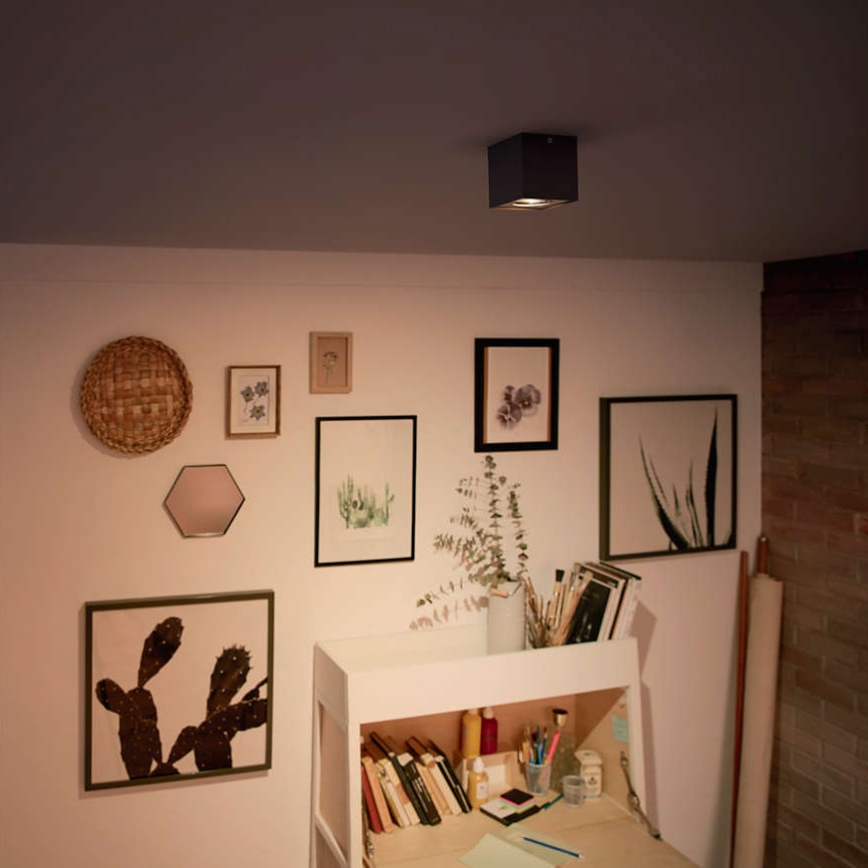 Philips - LED reflektorsko svjetlo s mogućnošću prigušivanja LED/4,5W/230V