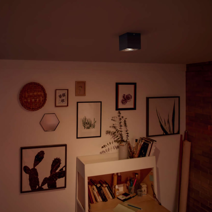 Philips - LED reflektorsko svjetlo s mogućnošću prigušivanja LED/4,5W/230V