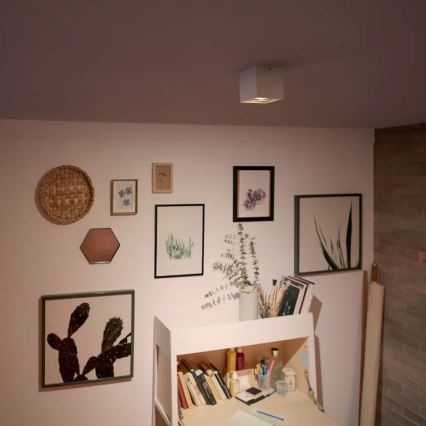 Philips - LED prigušivo spot svjetlo LED/4,5W/230V