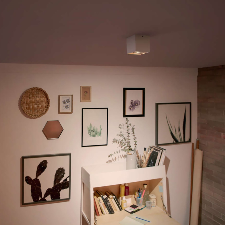 Philips - LED prigušivo spot svjetlo LED/4,5W/230V