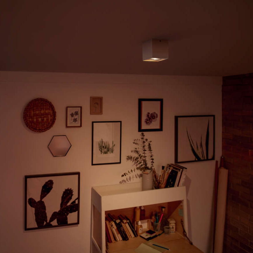 Philips - LED prigušivo spot svjetlo LED/4,5W/230V