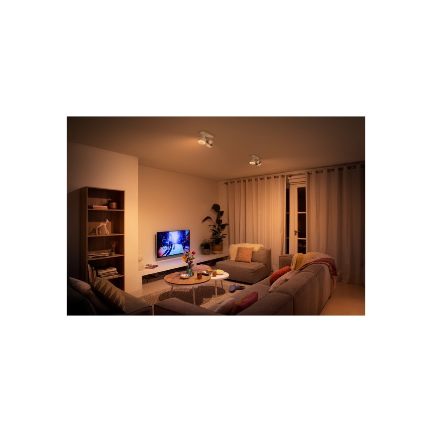 Philips 50602/31/P0 - LED Reflektorska svjetiljka BUKKO 2xLED/4,5W/230V