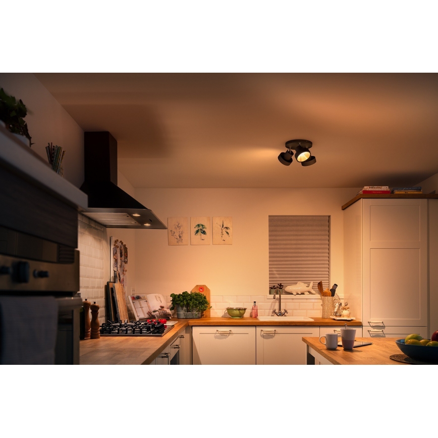 Philips 50603/30/P0 - LED Prigušiva reflektorska svjetiljka BUKKO 3xLED/4,3W/230V