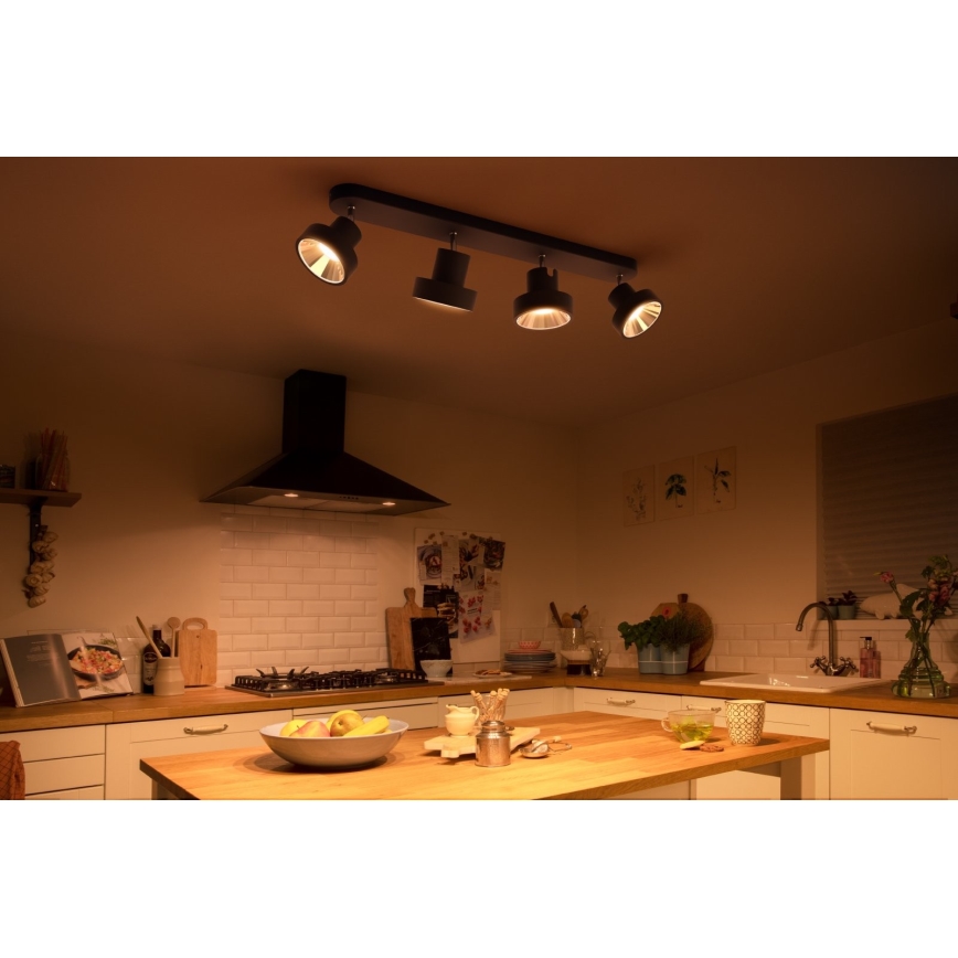 Philips 50604/30/P0 - LED Reflektorska svjetiljka BUKKO 4xLED/4,3W/230V