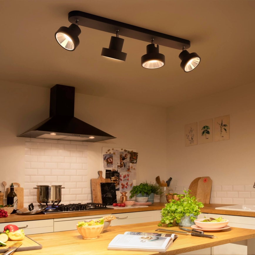 Philips 50604/30/P0 - LED Reflektorska svjetiljka BUKKO 4xLED/4,3W/230V