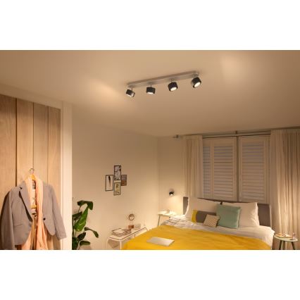 Philips 50654/30/P0 - LED Reflektorska svjetiljka FERANO 4xLED/4,3W/230V