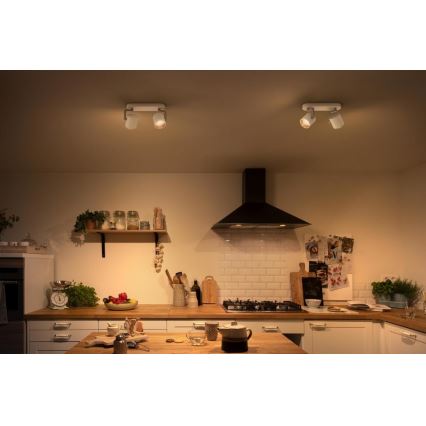 Philips - LED Prigušiva reflektorska svjetiljka 2xLED/4.5W/230V