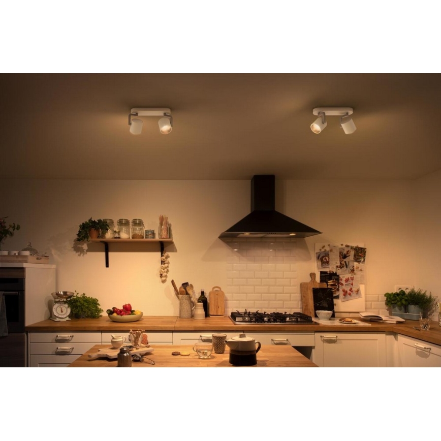 Philips - LED Prigušiva reflektorska svjetiljka 2xLED/4.5W/230V