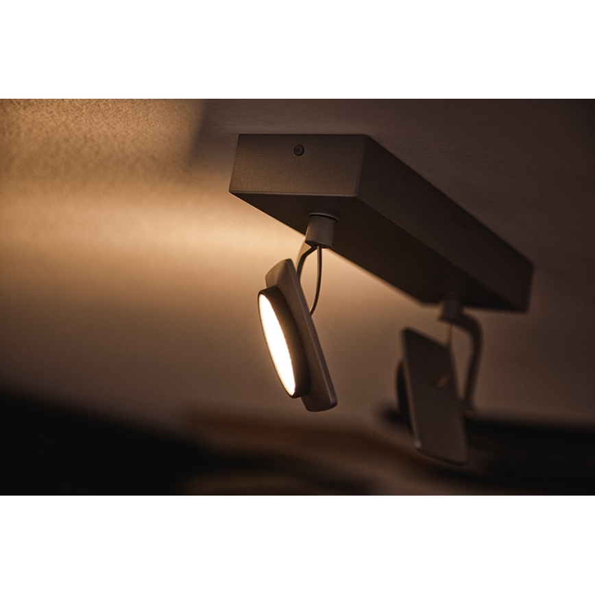 Philips 53192/48/P0 - LED Reflektorska svjetiljka MILLENNIUM 2xLED/4,5W/230V