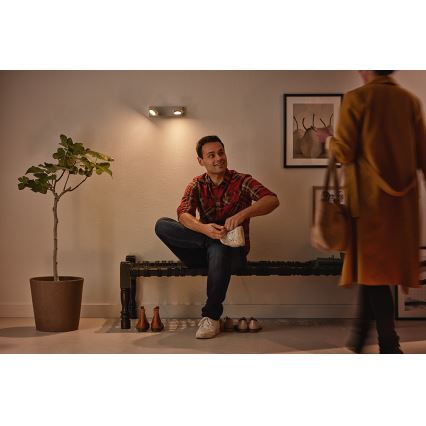 Philips 53192/48/P0 - LED Reflektorska svjetiljka MILLENNIUM 2xLED/4,5W/230V