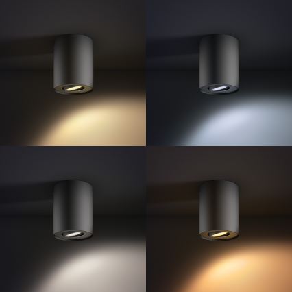 Philips 56330/30/P8 - LED stropna svjetiljka za prigušivanje PILLAR HUE 1xGU10/5,5W