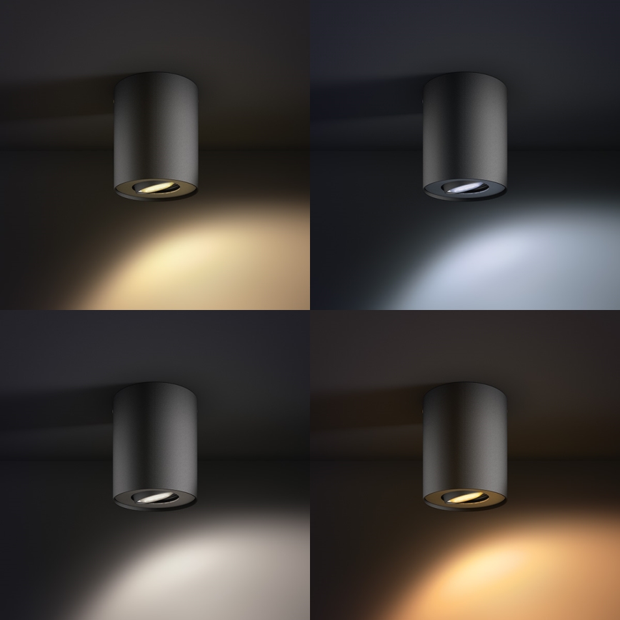 Philips 56330/30/P8 - LED stropna svjetiljka za prigušivanje PILLAR HUE 1xGU10/5,5W