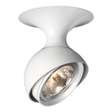Philips 57070/31/LI - Stropna svjetiljka LIRIO PALLO G53/50W