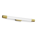 Philips - Kupaonska rasvjeta za ogledalo ROVER LED/10W/230V IP44 mesing