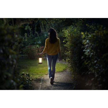 Philips - LED Prigušiva prijenosna lampa CICERO LED/6W/5V 4000 mAh IP54