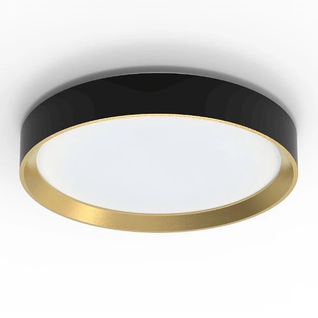 Philips - LED Prigušiva stropna svjetiljka HANNO SCENE SWITCH LED/24W/230V 4000K crna