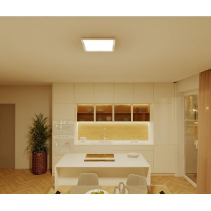 Philips - LED prigušivo stropno svjetlo LED/15W/230V 2700K 39,5x39,5 cm