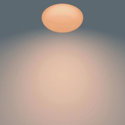 Philips - Prigušivo LED stropno svjetlo LED/23W/230V + daljinski upravljač