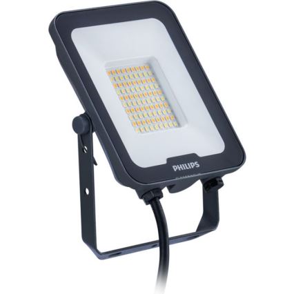 Philips - LED reflektor LEDINAIRE ALL-IN LED/30W/230V 3000/4000/6500K IP65