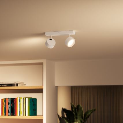 Philips - LED Reflektorska svjetiljka 2xLED/5,5W/230V bijela