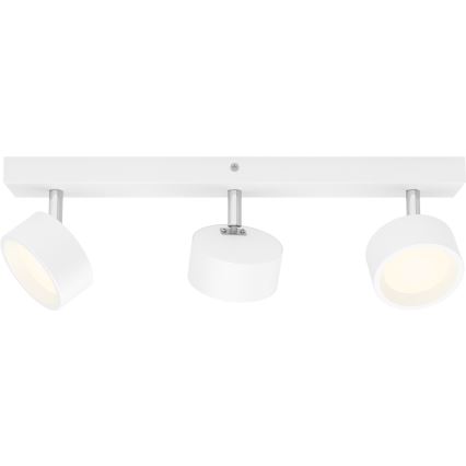 Philips - LED Reflektorska svjetiljka 3xLED/5,5W/230V bijela