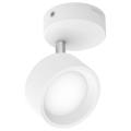 Philips - LED Reflektorska svjetiljka LED/5,5W/230V bijela