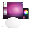 Philips - LED RGB prigušiva stolna svjetiljka Hue FLOURISH White And Color Ambiance 1xE27/8,1W/230V 1000-20000K