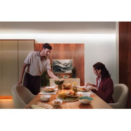 Philips - LED RGBW traka s mogućnošću prigušivanja Hue FLUX 3 m LED/29 W/230 V 2200–6500 K + Hue bridge