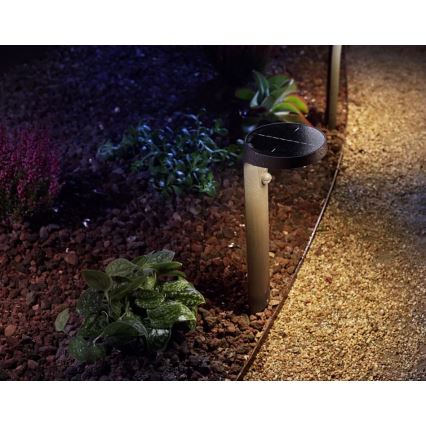 Philips - LED Solarna lampa sa senzorom LED/1,2W/4V 3000K IP44