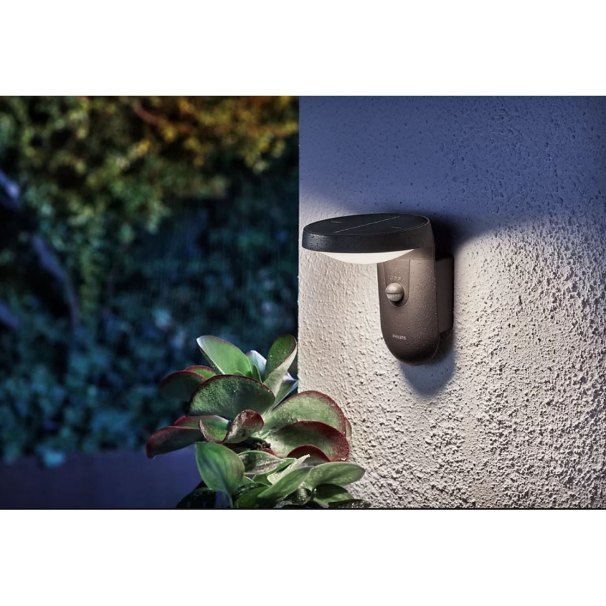 Philips - LED Solarna zidna svjetiljka sa senzorom LED/1,2W/4V 1800 mAh 4000K IP44
